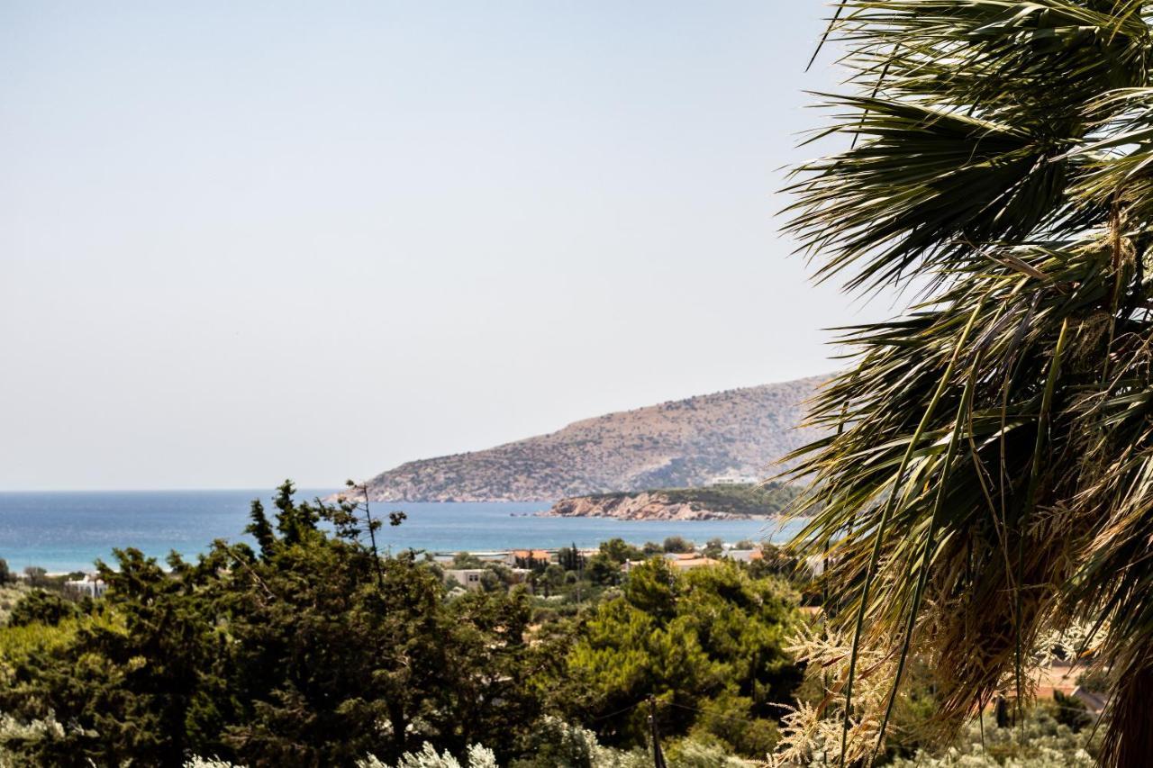 Villa Sounio Sunion Zewnętrze zdjęcie